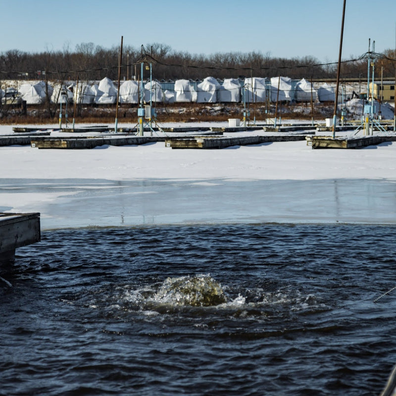 Load image into Gallery viewer, Kasco Marine: Dock &amp; Marina De-Icer
