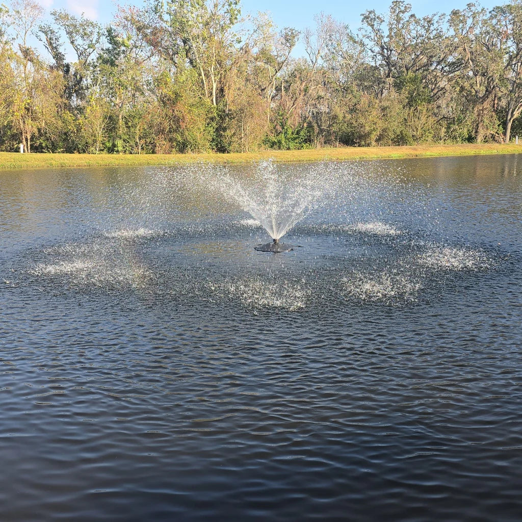 Superior Pond: SFX Pond Fountain