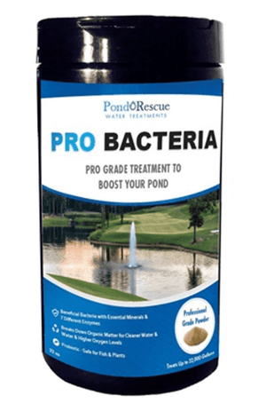 Anjon: Pond Rescue Pond Bomb Professional Bacteria