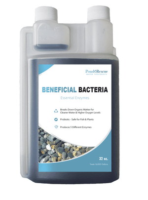 Anjon: Pond Rescue Beneficial Bacteria