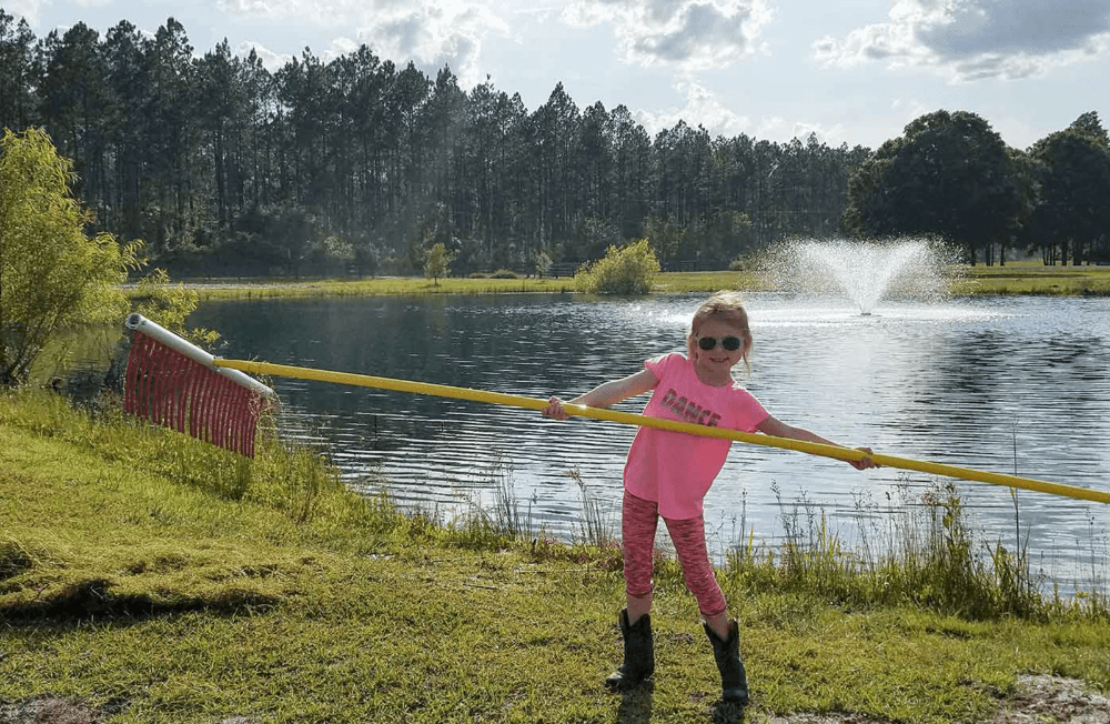 Scott Aerator: Weed Raker