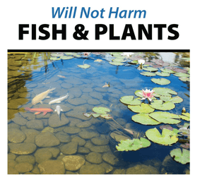 CrystalClear® Pond Shock Ball Natural Enzymes & Live Bacteria, Freshwater Clarifier Shock Treatment, Muck & Sludge Remover for Small Pond & Outdoor Water Garden Ponds, Koi Fish & Aquatic Plants Safe