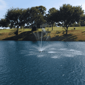 PondSelect: Classic Series 3/4 HP Pond Fountain, 5 Spray Patterns – 115V