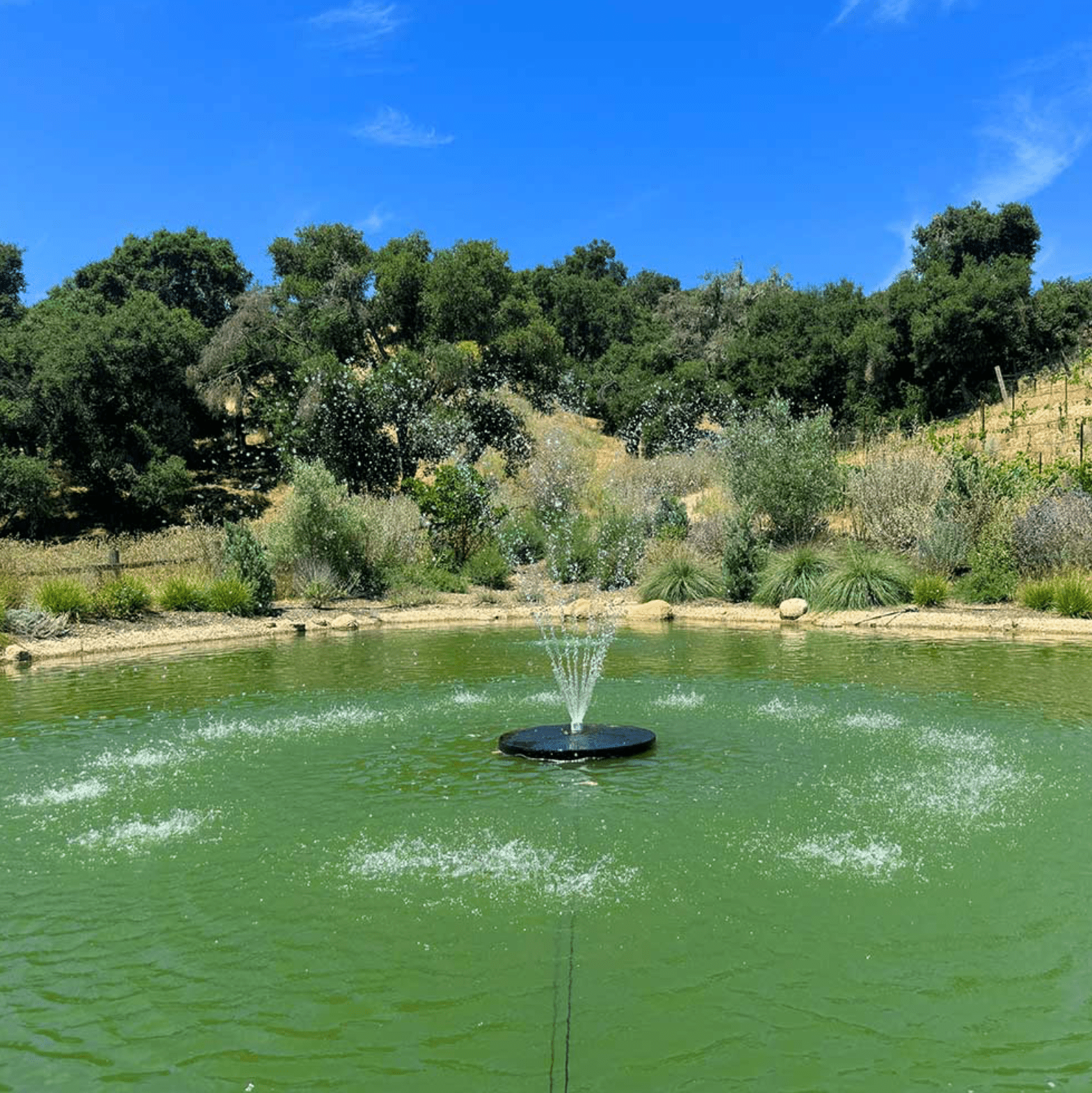 PondSelect: Classic Series 1/3 HP Pond Fountain, 5 Spray Patterns – 115V