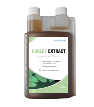 Anjon: Barley Extract