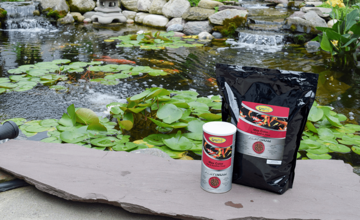 EasyPro: PC5 Platinum Koi & Goldfish Food - Max Color - 5lb bag