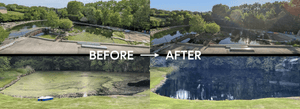 Scott Aerator: Algae Shield