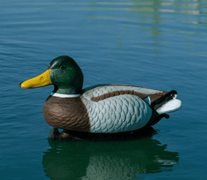 Outdoor Water Solutions: Pond Aerator Diffuser Accessory / Duck Decoy