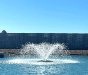Outdoor Water Solutions: Pond Aeration Fountain / Aerify - 1/2HP
