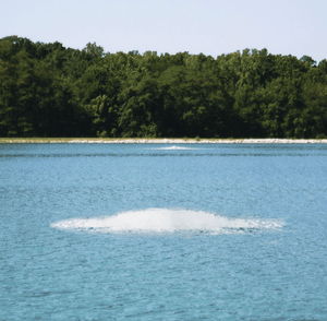 Outdoor Water Solutions: Quantum Pond Surface Aerator Fountain for Aquaculture/ Water Treatment / 5HP - 20HP