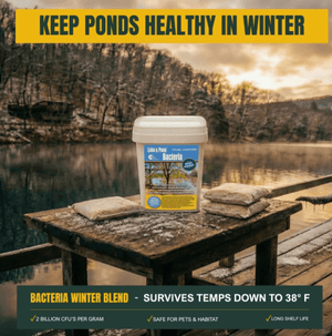 Outdoor Water Solutions: Beneficial Bacteria for Ponds Muck Remover / Fall & Winter Blend