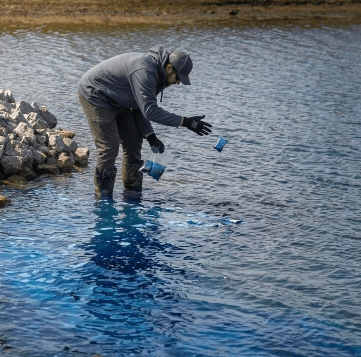 Outdoor Water Solutions: Blue Pond Dye for Lakes & Ponds / Fish Safe / Dry Packs