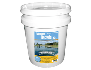 Outdoor Water Solutions: Beneficial Bacteria for Pond Muck Remover / Dry Packs