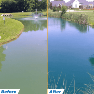 Outdoor Water Solutions: Pond Dye for Lakes / Ponds / Fish Safe / Slows Weeds