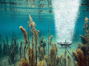 Scott Aerator Solar XL Sub-Surface Aeration System