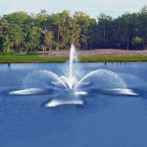Load image into Gallery viewer, Vertex FanJet Commercial Fountain