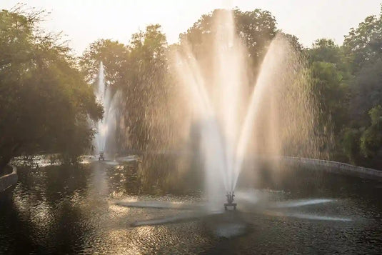 How to Choose a Pond Pump