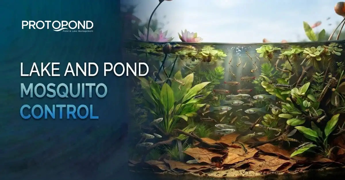 Lake and Pond Mosquito Control Solutions (2026) – ProtoPond