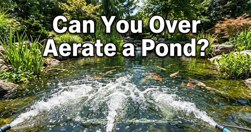 Can You Over Aerate a Pond