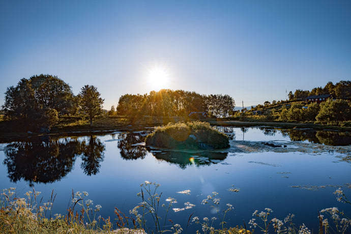 How to Build a Dock in a Pond