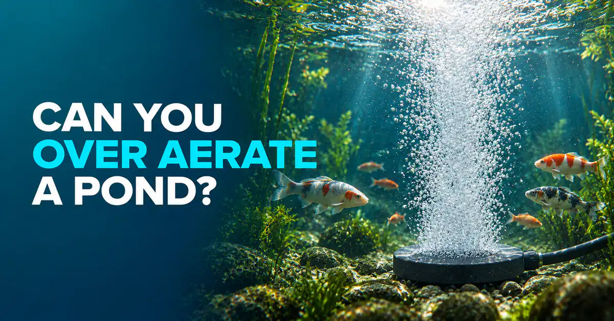 Can You Over Aerate a Pond? featured image