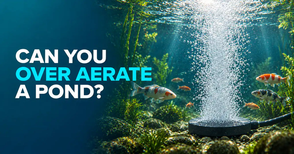 Can You Over Aerate a Pond? featured image