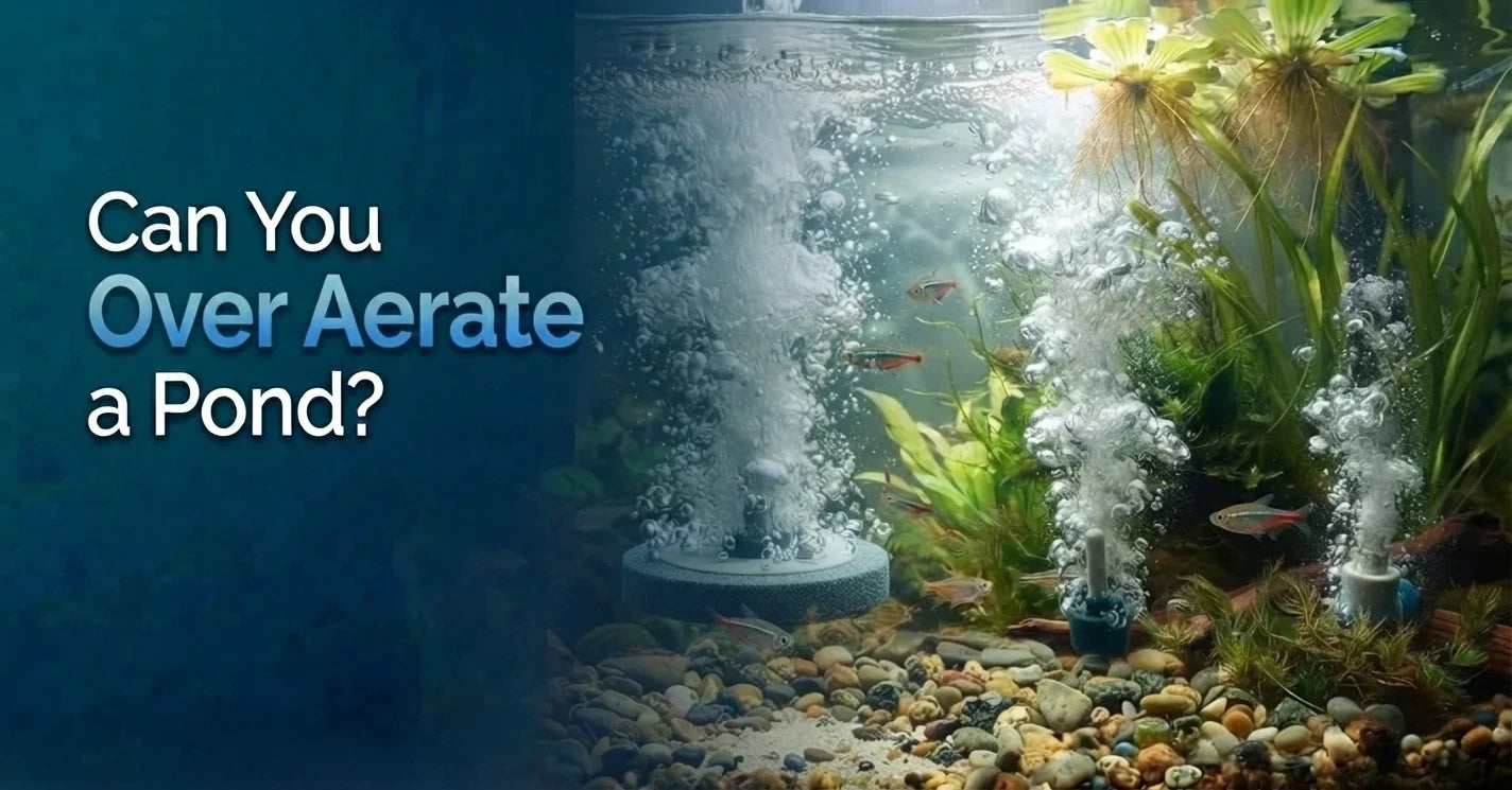 Can You Over Aerate a Pond?