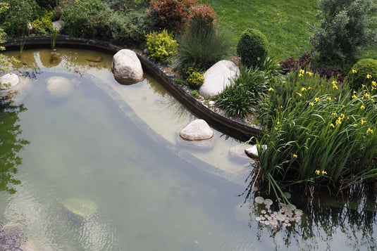 How to Drain a Pond