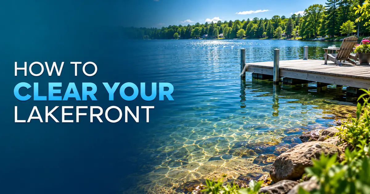How to Clear Up Your Lakefront featured image