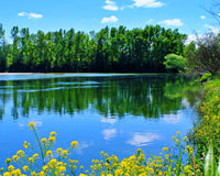 Building a Pond? 7 Essential Items on the Pond Construction Checklist