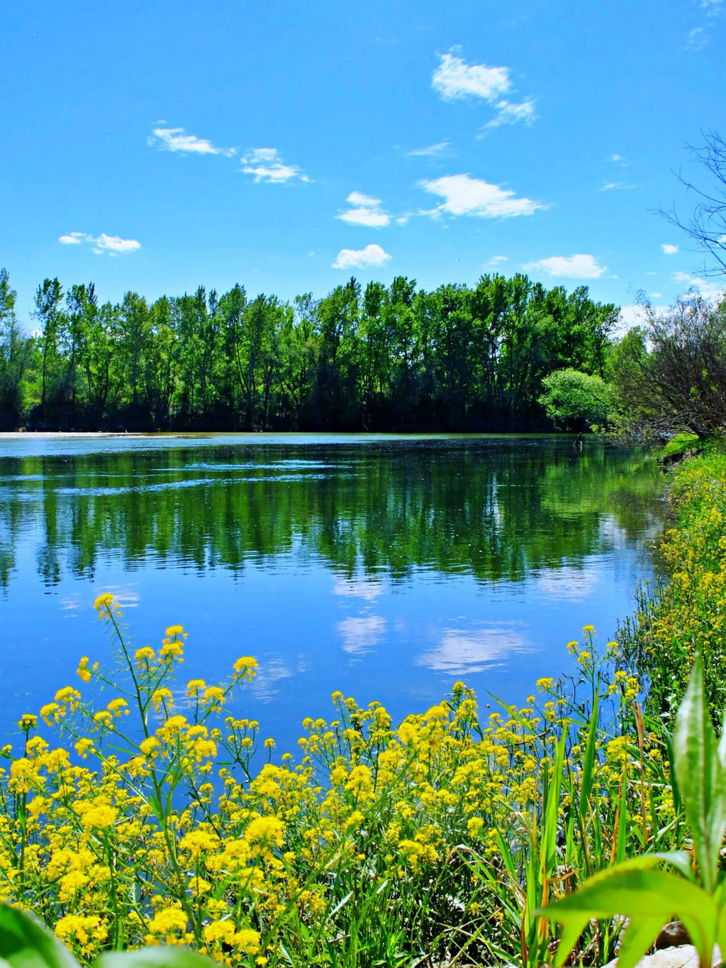 Building a Pond? 7 Essential Items on the Pond Construction Checklist