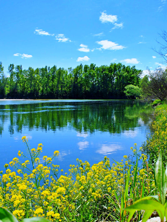 Building a Pond? 7 Essential Items on the Pond Construction Checklist