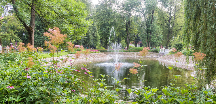 Winterize a Pond Fountain