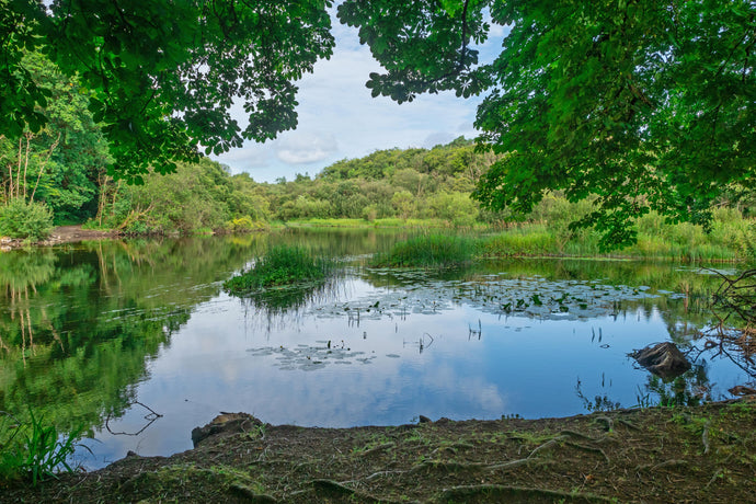 What is a Pond Aerator