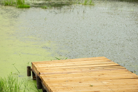 How to Clear Up Your Lakefront