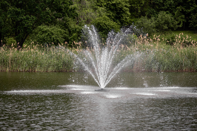Can You Over Aerate a Pond?
