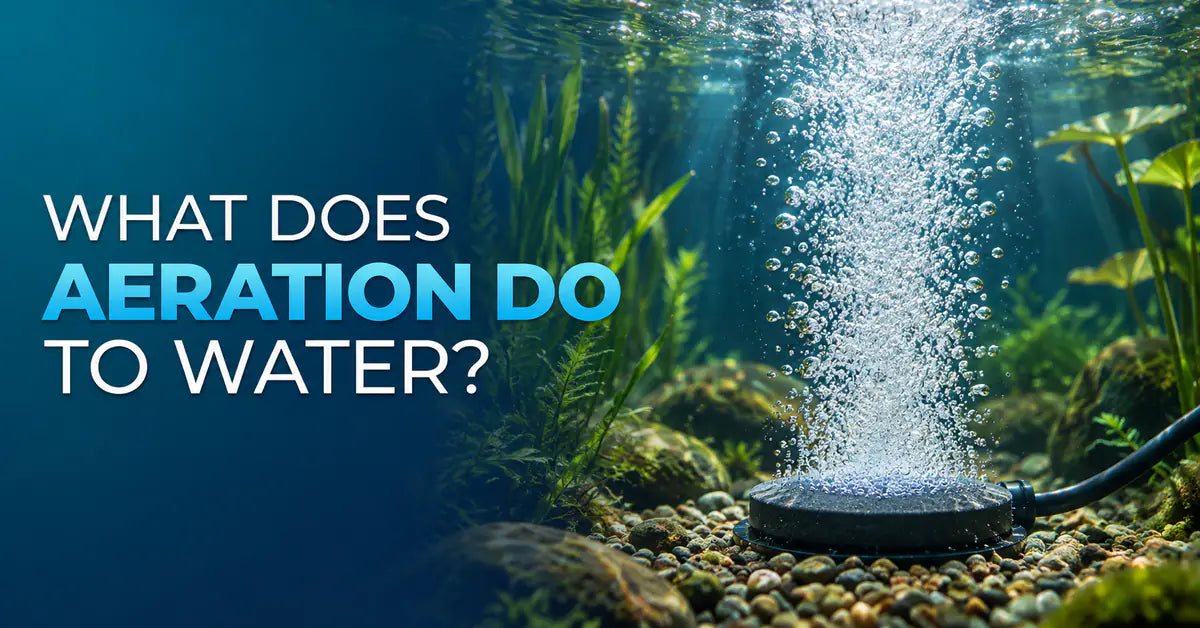 What does aeration do to water? featured image