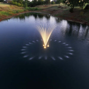 PondSelect: Eco Series 1/2 HP Pond Fountain, 4 Spray Patterns – 115V