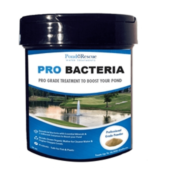 Anjon: Pond Rescue Pond Bomb Professional Bacteria
