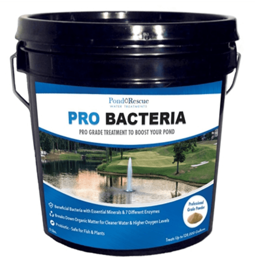 Anjon: Pond Rescue Pond Bomb Professional Bacteria