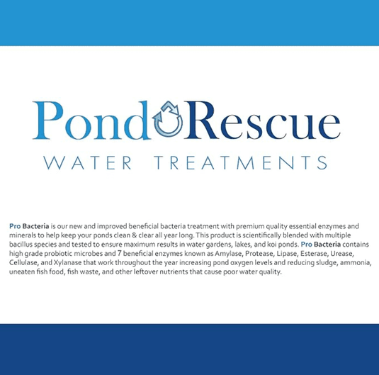 Anjon: Pond Rescue Pond Bomb Professional Bacteria