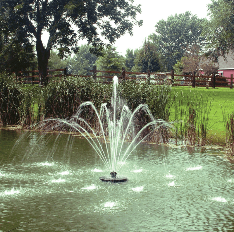 How to Make a Pond Hold Water Naturally -(2026) – ProtoPond