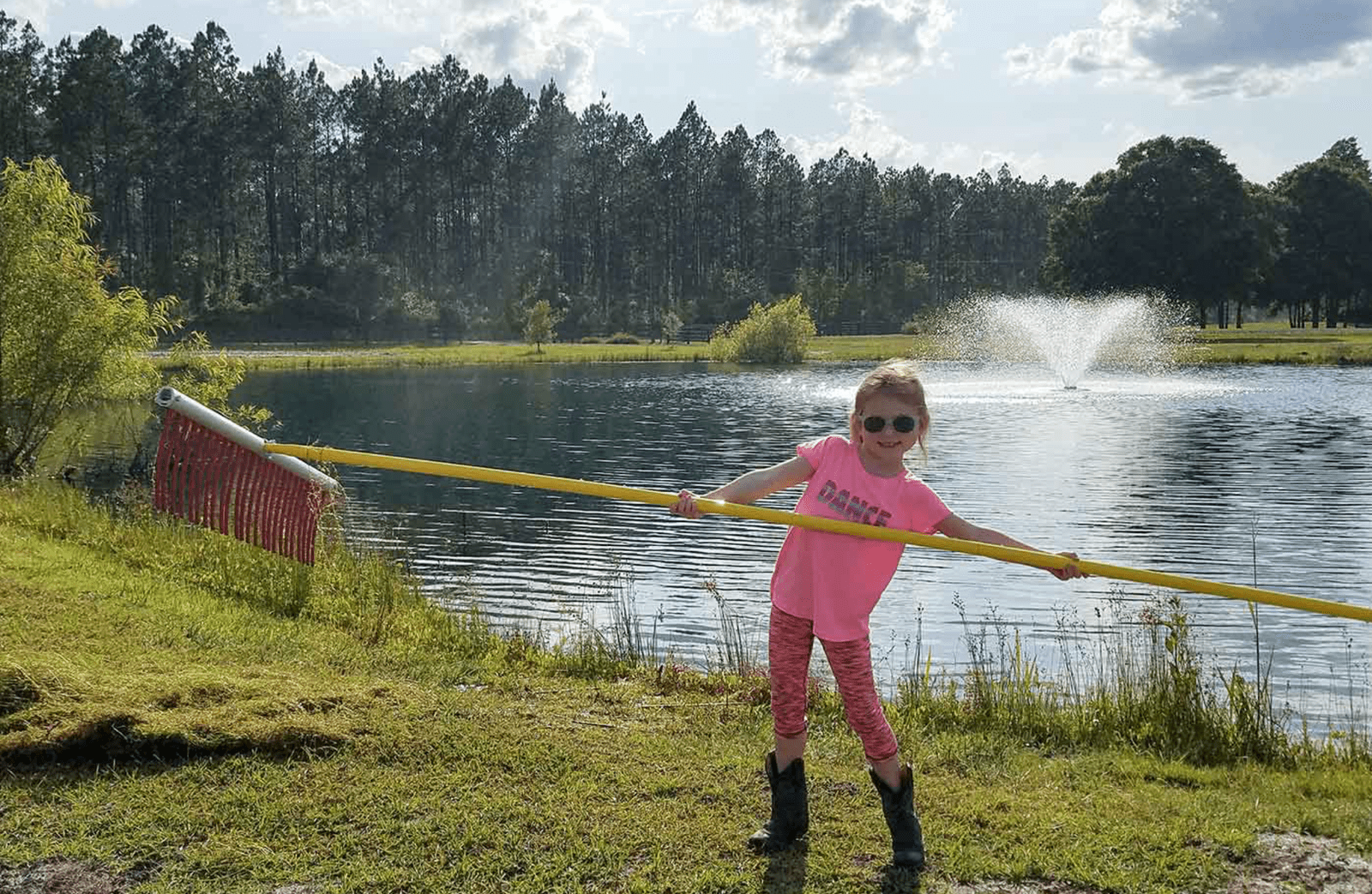 Scott Aerator: Weed Raker