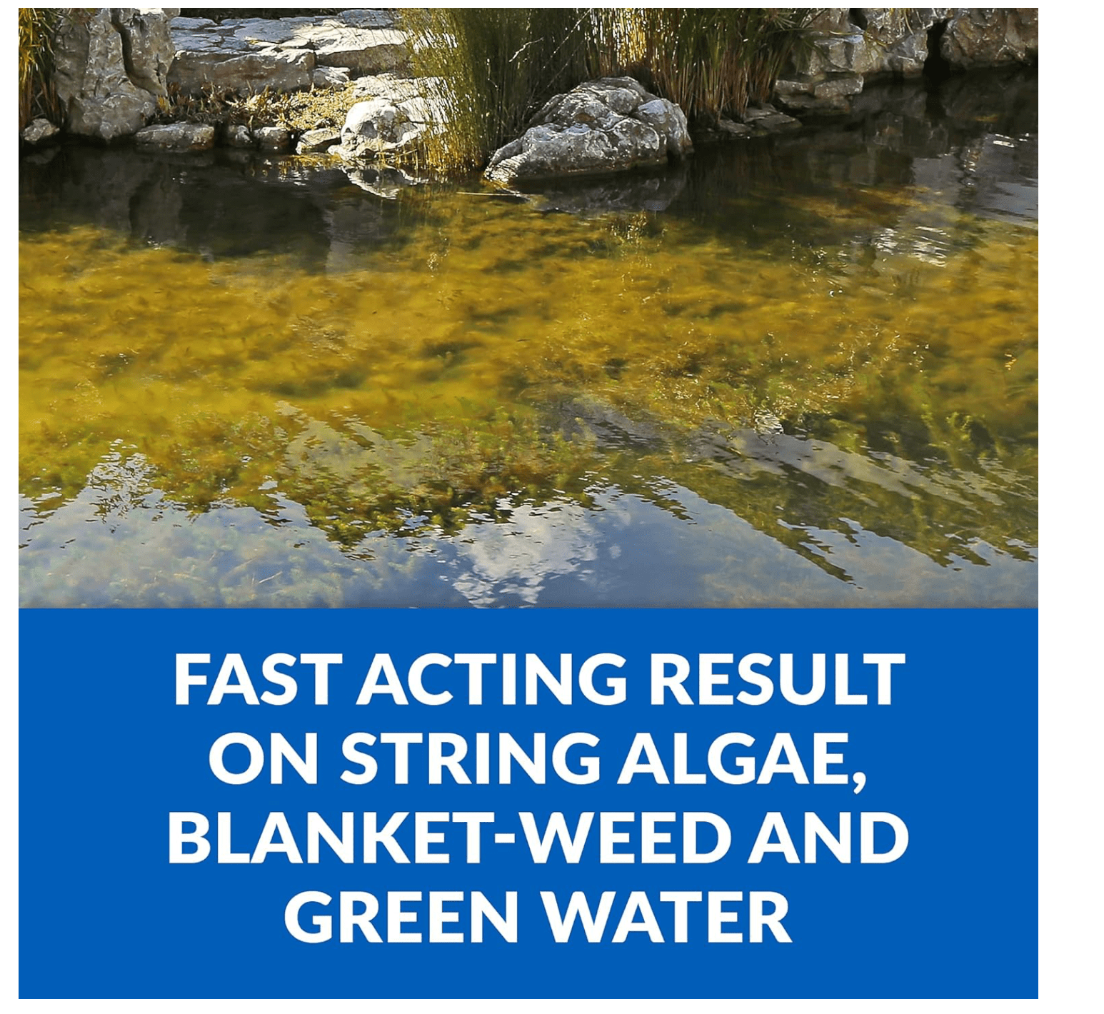 CrystalClear® Algae D-Solv Pond Algae Control, Fast-Acting EPA Registered Algaecide, Use in Fountains & Outdoor Ponds Containing Koi & Other Fish, Treats 5,760 Gallons