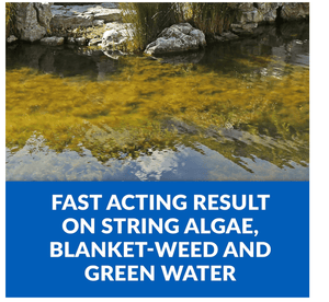 CrystalClear® Algae D-Solv Pond Algae Control, Fast-Acting EPA Registered Algaecide, Use in Fountains & Outdoor Ponds Containing Koi & Other Fish, Treats 5,760 Gallons