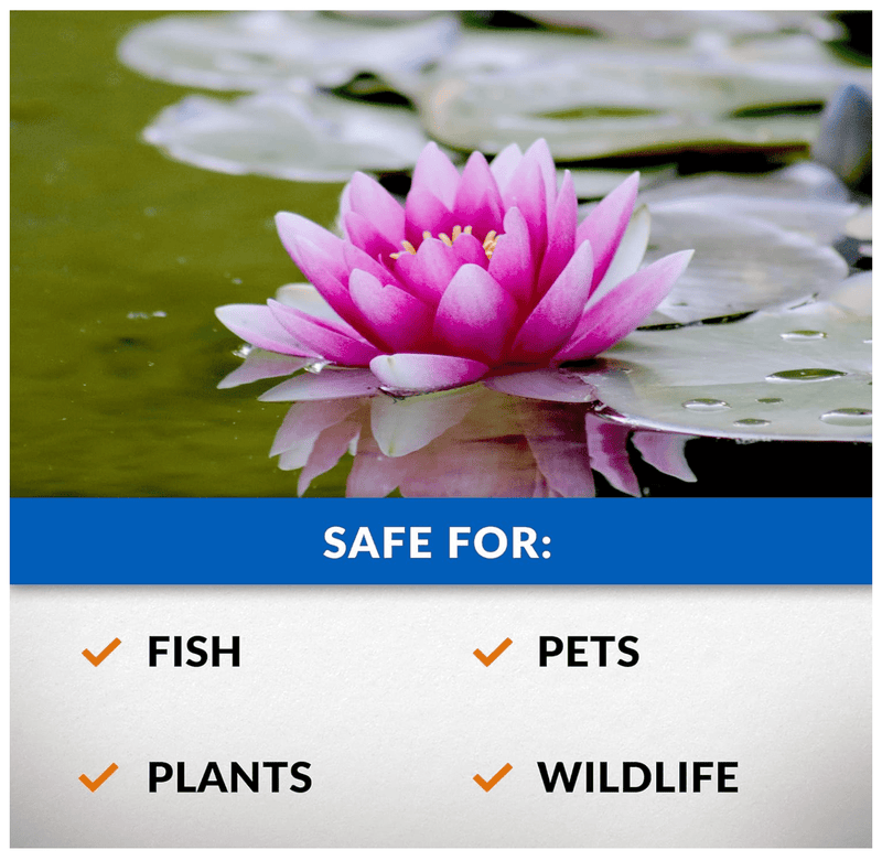 Load image into Gallery viewer, CrystalClear® Algae D-Solv Pond Algae Control, Fast-Acting EPA Registered Algaecide, Use in Fountains &amp; Outdoor Ponds Containing Koi &amp; Other Fish, Treats 5,760 Gallons
