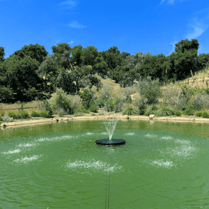 PondSelect: Classic Series 1/3 HP Pond Fountain, 5 Spray Patterns – 115V