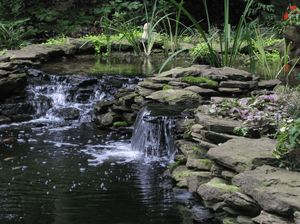 EasyPro: EBK2 EasyBog Pond Filtration Kit - Up To 10,000 Gallons