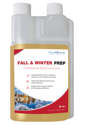 Anjon: Fall and Winter Prep