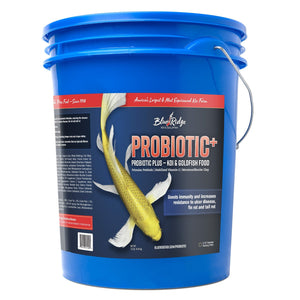 Blue Ridge Koi: Probiotic Plus Food